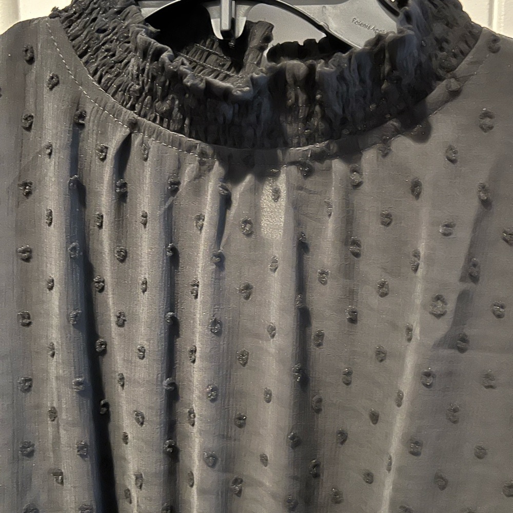 NWT Sweet Wanderer Black Swiss dot Dress sz large - Picture 3 of 5